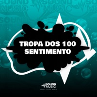 TROPA DOS 100 SENTIMENTO (feat. SoundMusic Original) - Single - Mc Guidanny, MC D'lara, DLV ORIGINAL & DJ FEH MIX