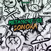 Metamorfose Sonora - Single - DJ Henri ZS