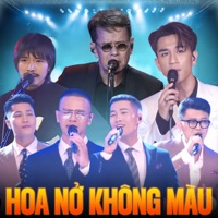 Hoa Nở Không Màu - Dương Edward, Oplus, Đức Huy & Thịnh Suy