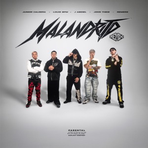 Malandrito (feat. Remers & Animal) [Remix]