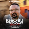 IGBO BU OZUO OMEE (CHIEF TOCHUKWU OKAFOR) special - Single