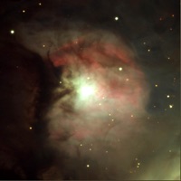 No Role 2 - Single - TRIUM