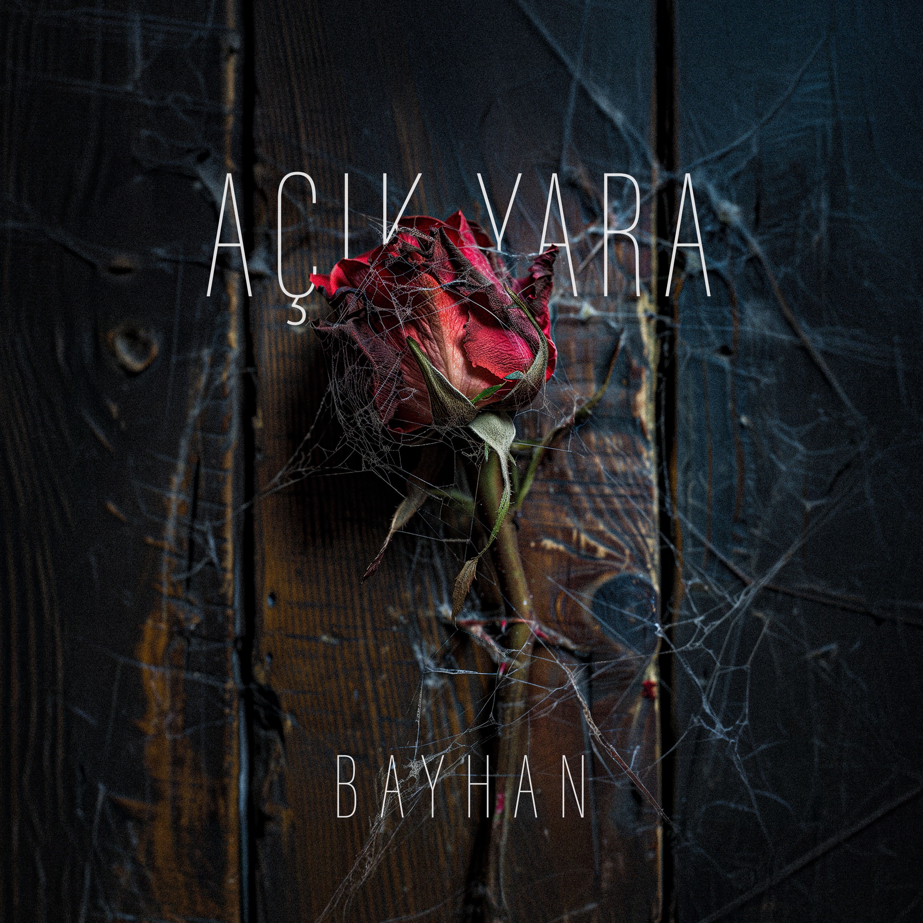 Açık Yara - Single