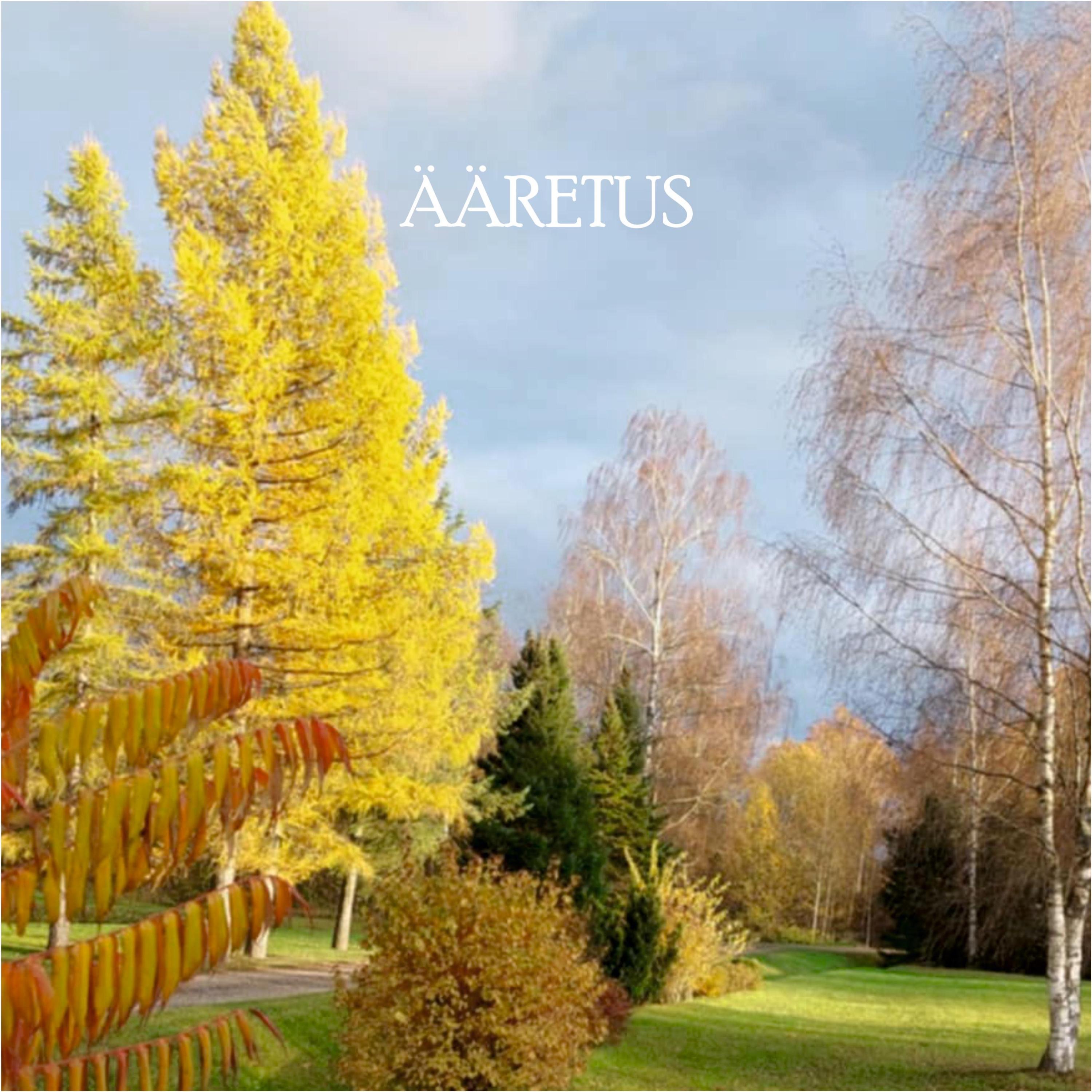 Ääretus - Single