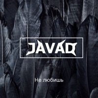 Не любишь - Single - Javad