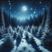 Winter Wishes - Single - JTG