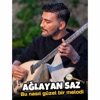Erdal Erdoğan - Ağlayan saz - Bu nasıl güzel melodi Erdal Erdoğan 2026
