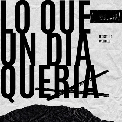Lo Que un Día Quería (feat. Oveer Lee) - Single