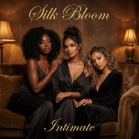 Intimate (feat. Silk Bloom) - Single - One Minute Studios