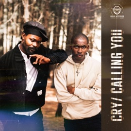 Calling You (feat. OMK) FOZ