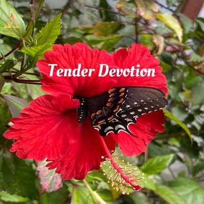 Tender Devotion (Negrotto) - Single