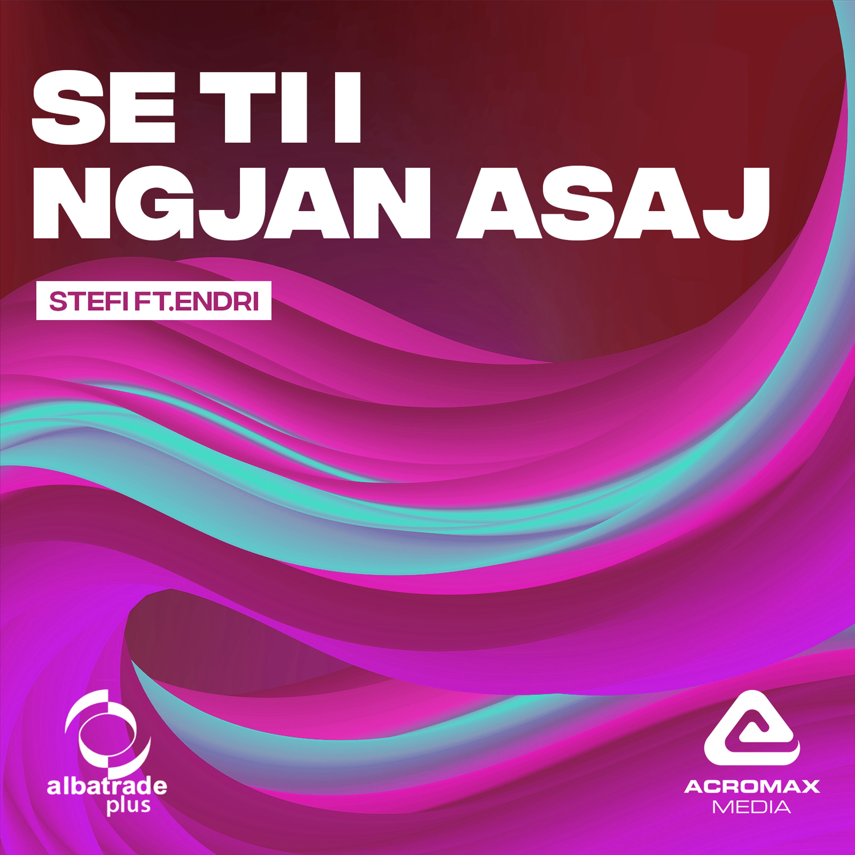 Se ti i ngjan asaj - Single