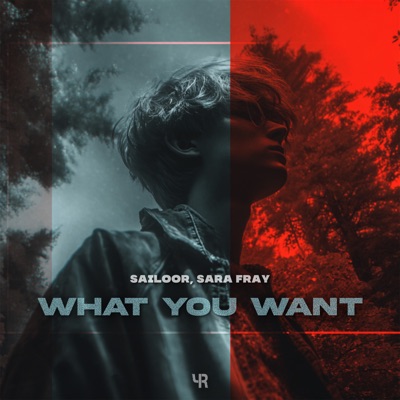 What You Want - Single