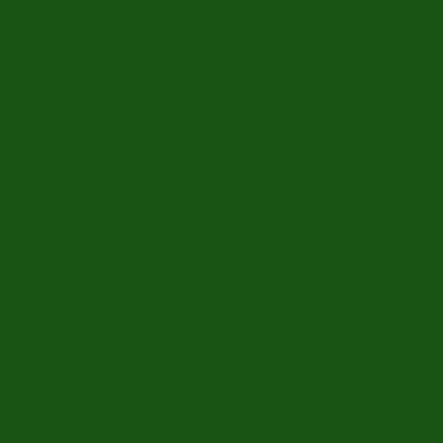 Green Fuck Nigga (feat. 572lile) - Single