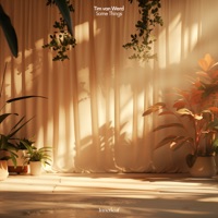 Some Things - Single - Tim van Werd