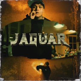 Jaguar Tryhan