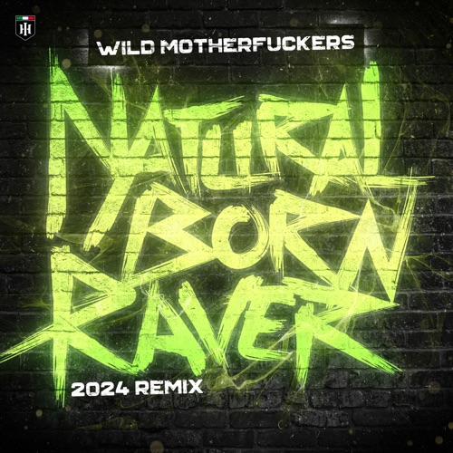 Natural Born Raver (2024 Remix) - Single