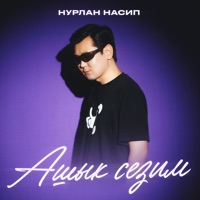 Ашык сезим - Single - Нурлан Насип