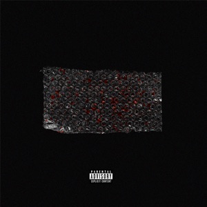 Plástico Bolha - Single
