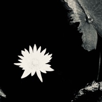 Наоборот - Single - Miyagi & Эндшпиль