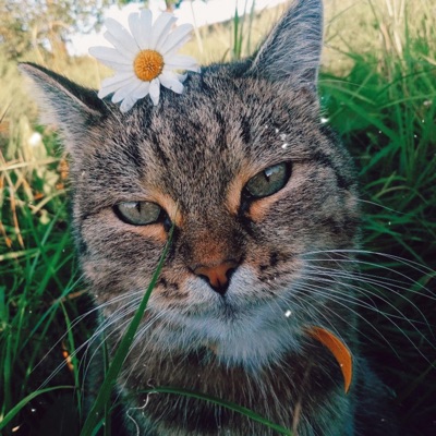 Fin Ayoto - S&M x I get the Bag