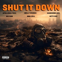 Shut It Down (feat. Big Sam, Melly Scuggz, Handsome HYE, Apollonia Foxx & MBK Cell) - Single - Nitti iiCe