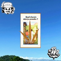 Quel chemin dois-je prendre ? - Single - El AVS