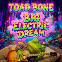 Never Enough Guitars