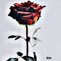 Розы - Single - Skini Lover