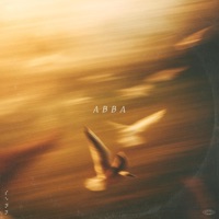 Abba - Single - vesky