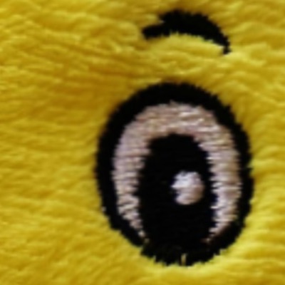 WISLEY DURAN - Agora lascou um grilo cantando bem aqui no meu quarto