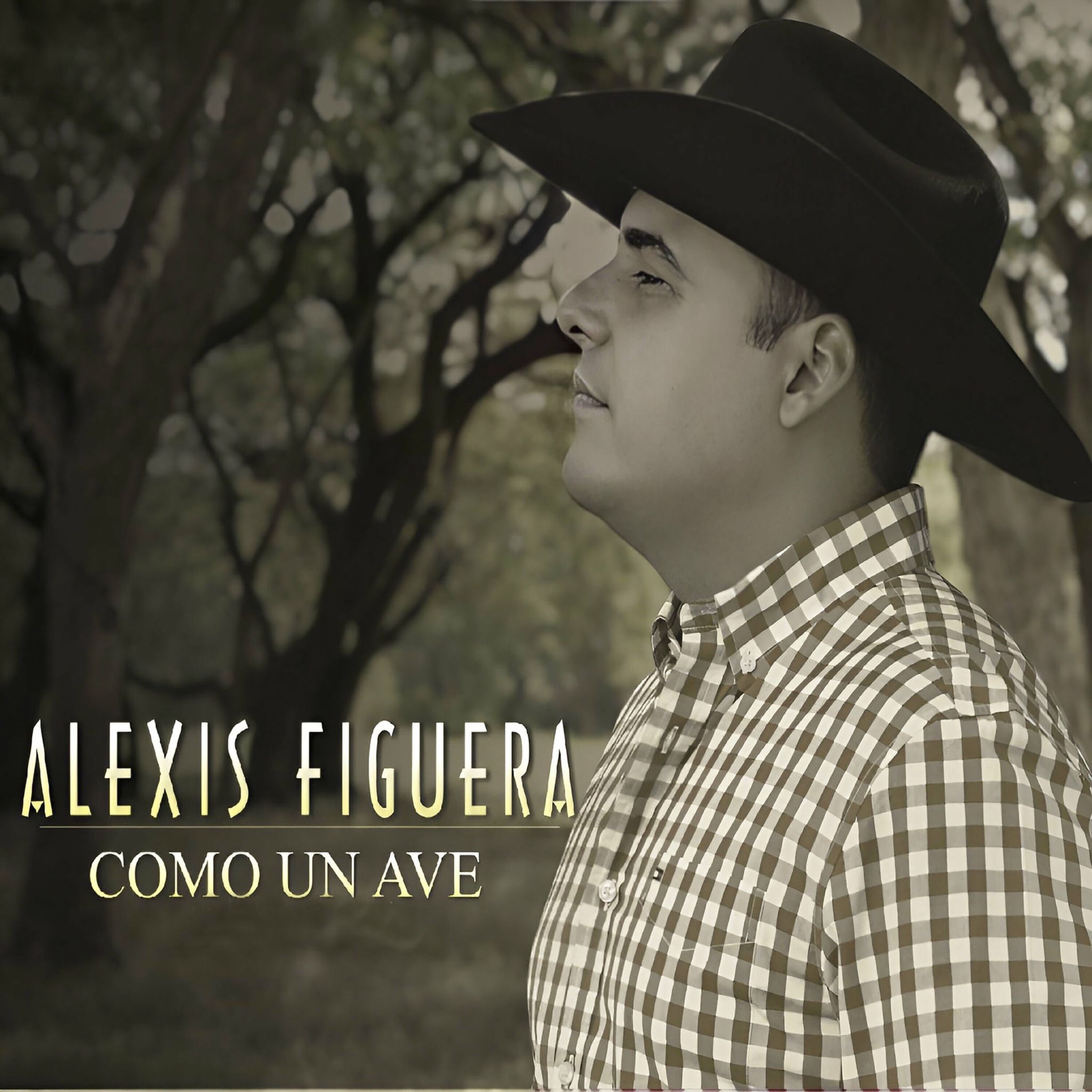 Como Un Ave - Single