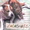Von Bismark - Zachshots lyrics