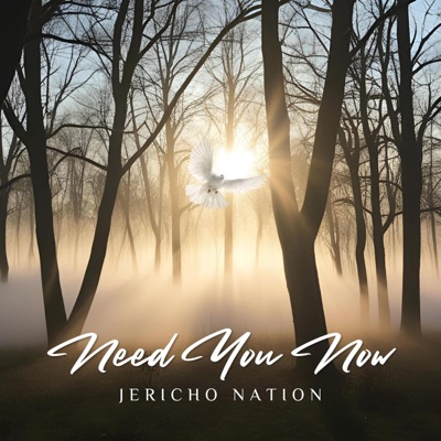 Need You Now - Single