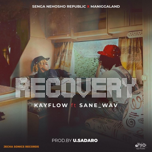Recovery (feat. sane.wav)