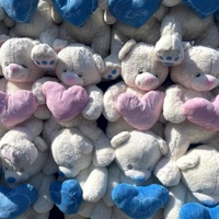 It's Never Luck (feat. FLEA DIAMONDS) - Single - fwesupreme & Evy