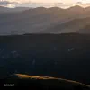 Attom - Skylight