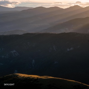Skylight - Single