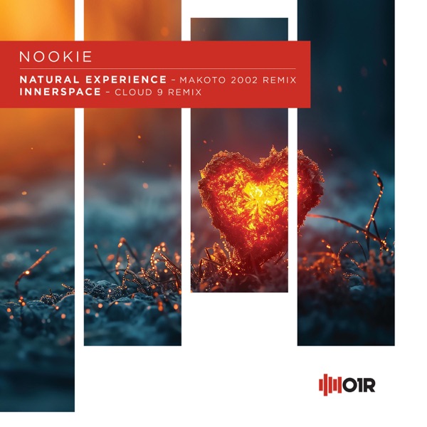 Natural Experience (Remix) - Single