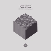 Fields Of Pansy - Single - Hernan Cerbello, Chaum & Ghume