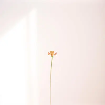 Poslechněte si Deadline od interpreta colorlessFlower