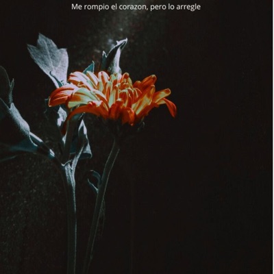 Me rompio el corazón, pero lo arregle (feat. Blackstter) - Single