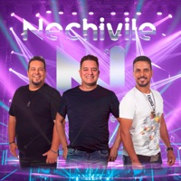 Curva da Minha Vida - Single - Nechivile