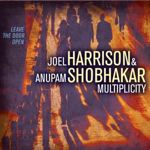 Multiplicity: Leave the Door Open (feat. Dan Weiss, Gary Versace & Hans Glawischnig)