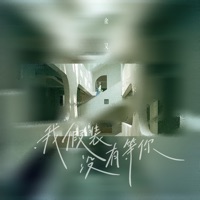 我假装没有等你 - Single - 书笙