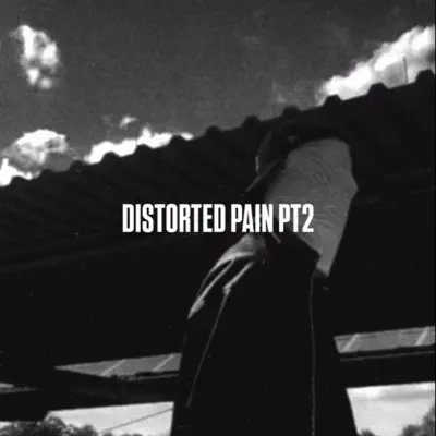 Riad810の「Distorted Pain, Pt. 2」を聴こう。