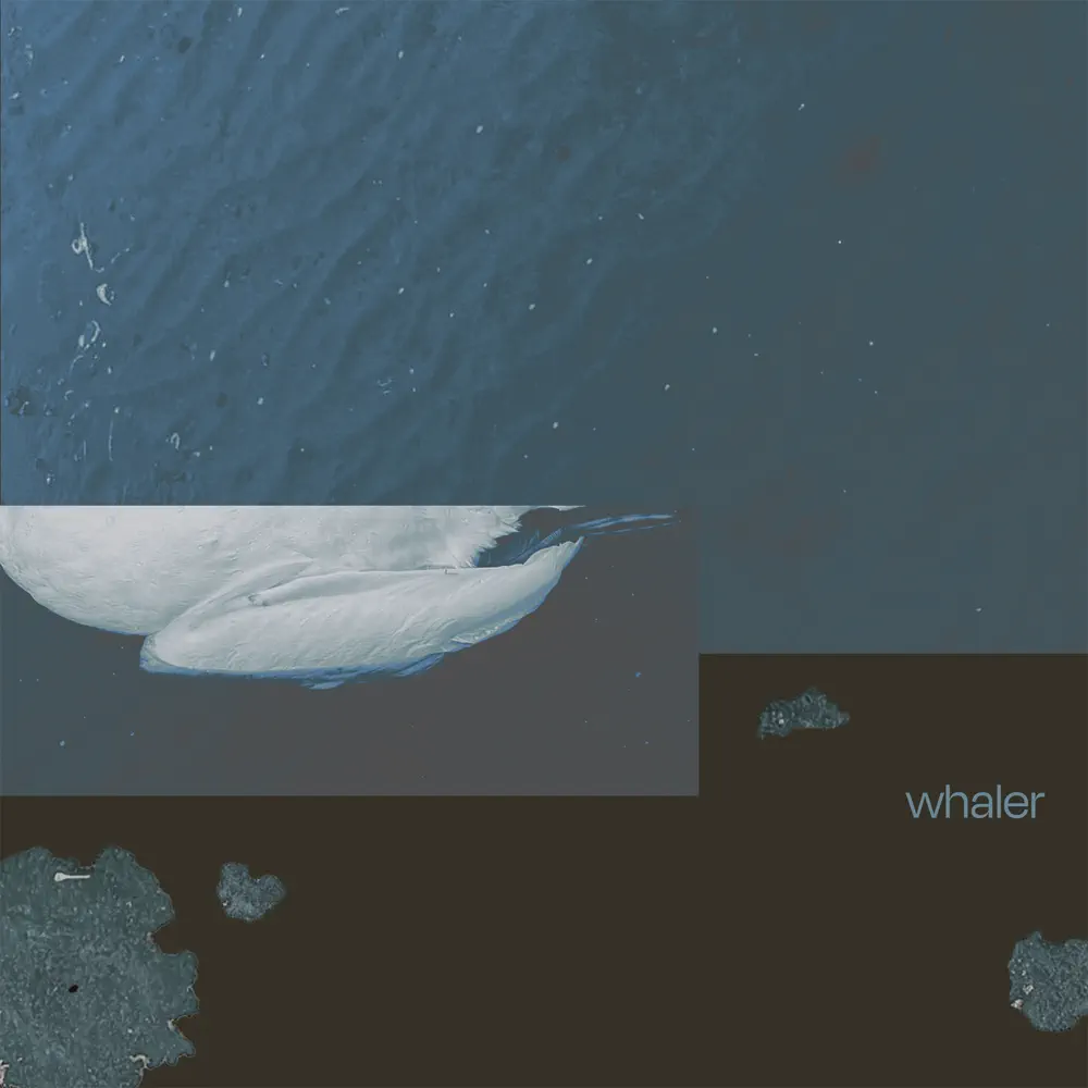 Wolfschmidt — whaler cover artwork