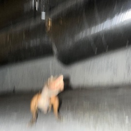 Take A Walk Fig Tape