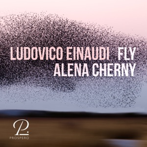 Einaudi: Fly - Single