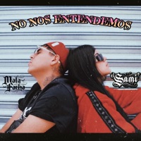 NO NOS ENTENDEMOS (feat. Lil Mafer Official) - Single - EL SAMI